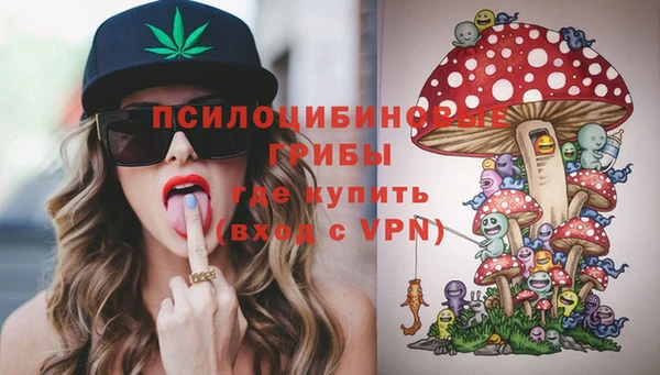 стаф Алексеевка