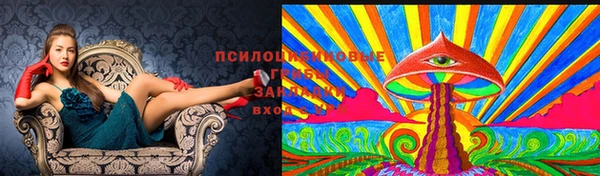 прущий лед Алексин