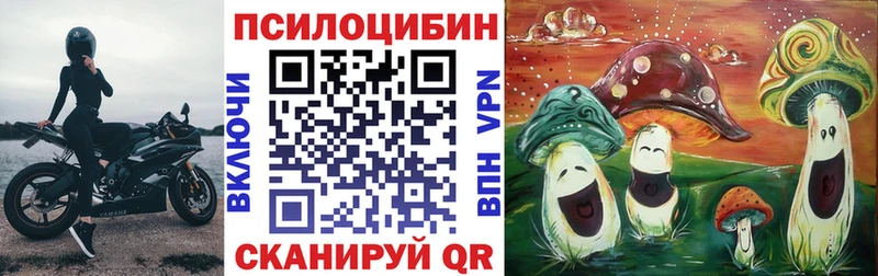 купить наркотики сайты  ссылка на мегу маркетплейс  Галлюциногенные грибы мухоморы  Кизел 